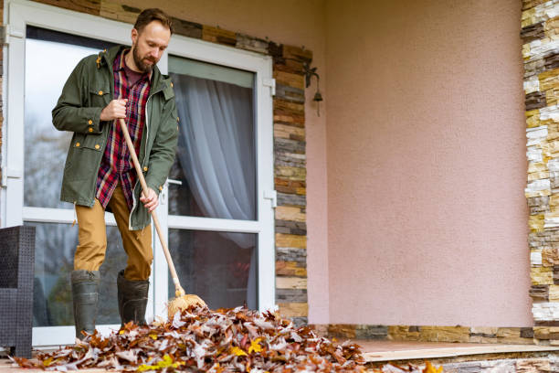 Debris Removal in Rowlett, TX